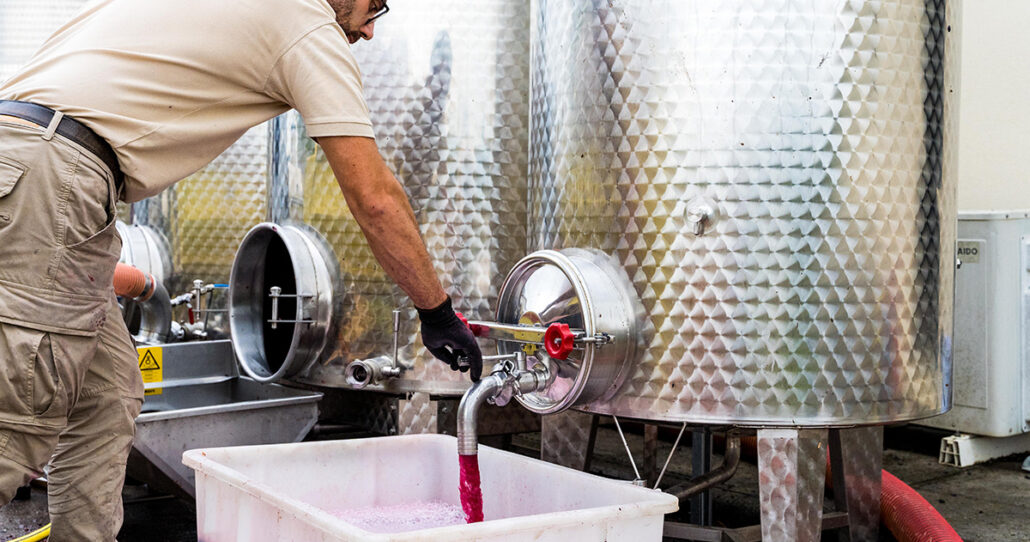 Casetta 1^ Settembre 24 - Vendemmia-34